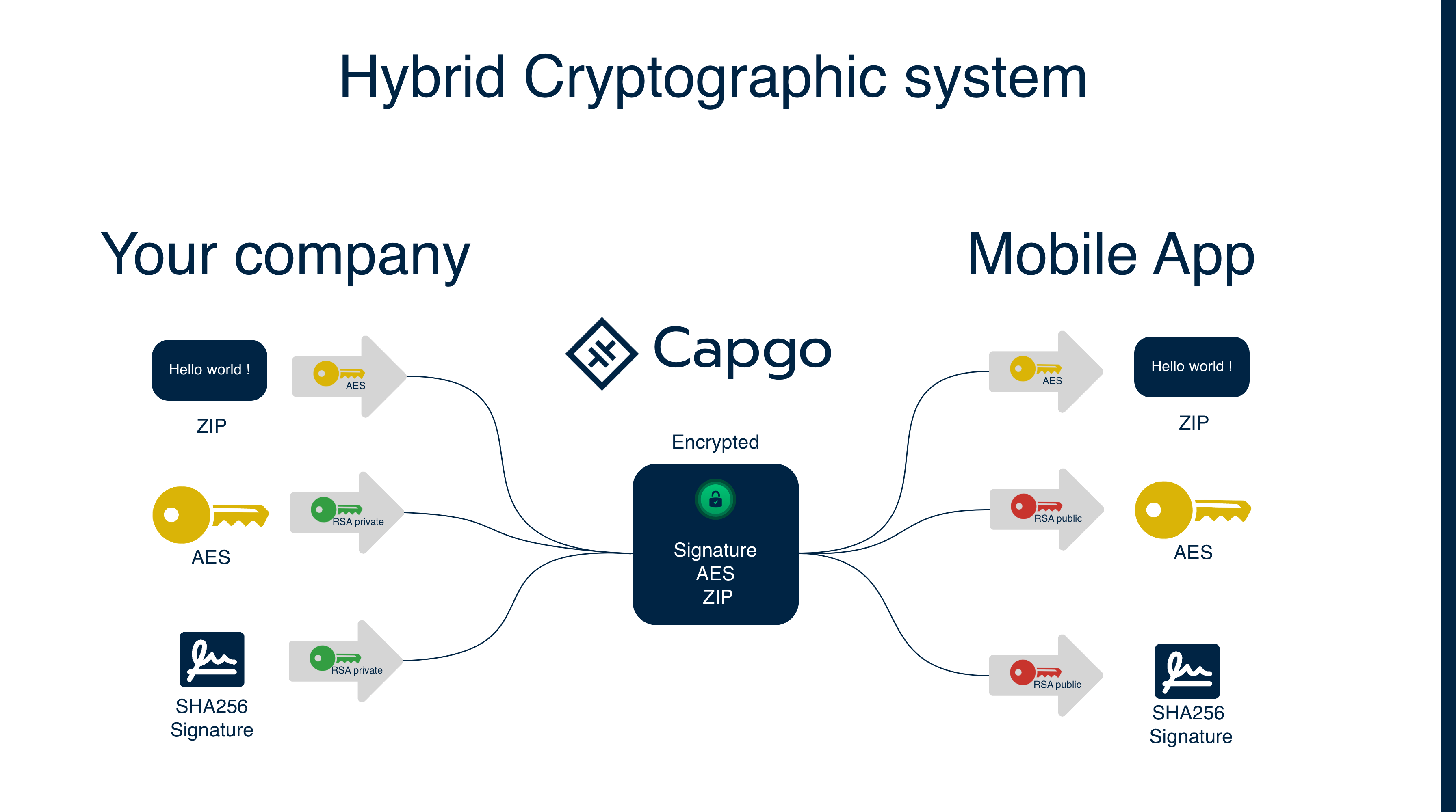 Capgo Encryption Flow