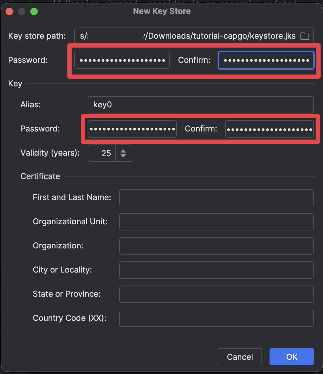 Android Studio set key store password