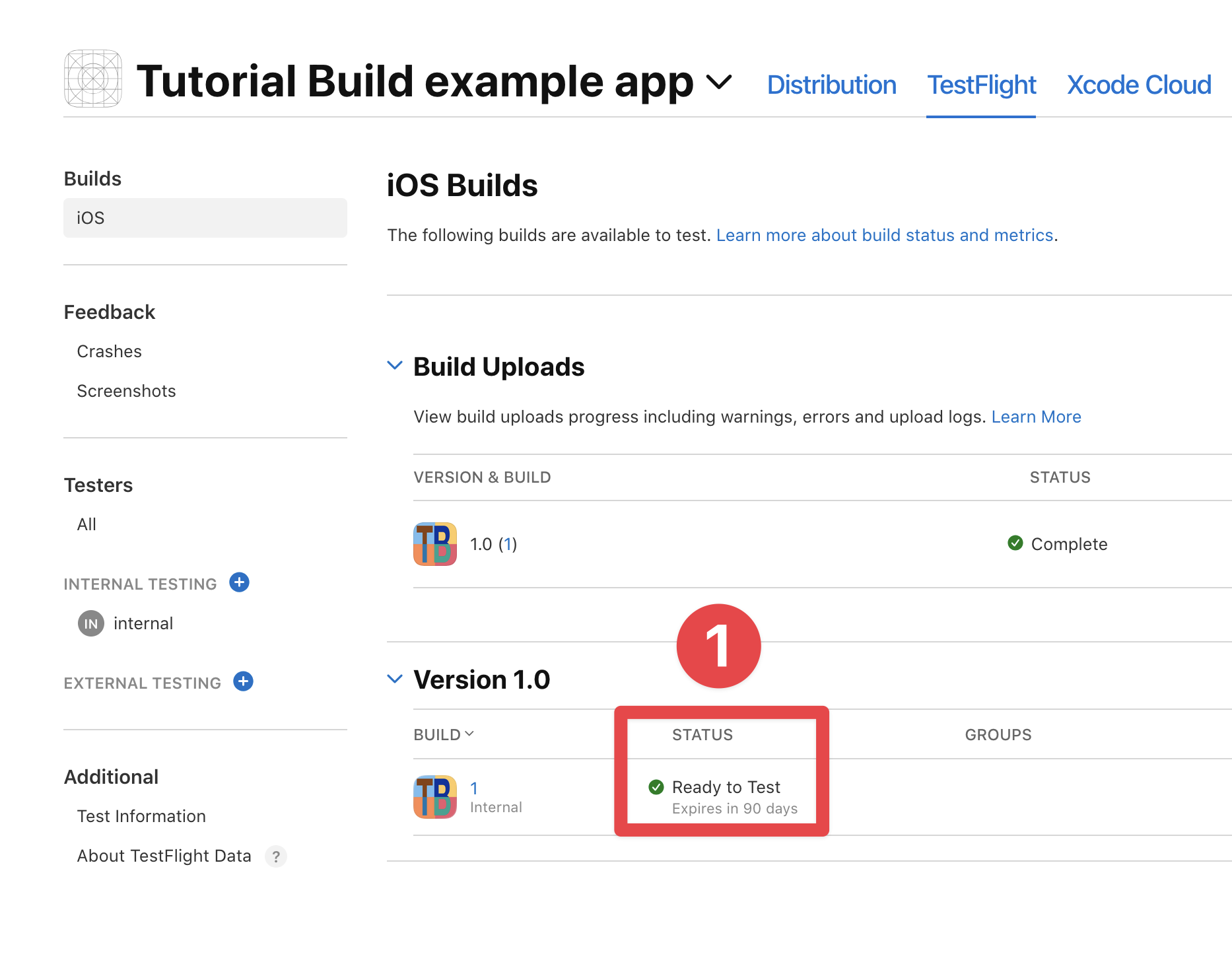 App Store Connect ready to test
