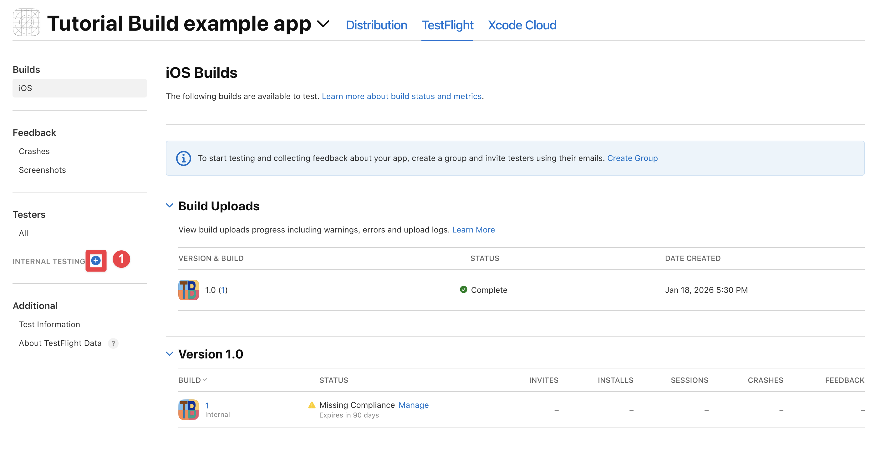 App Store Connect internal testers plus button