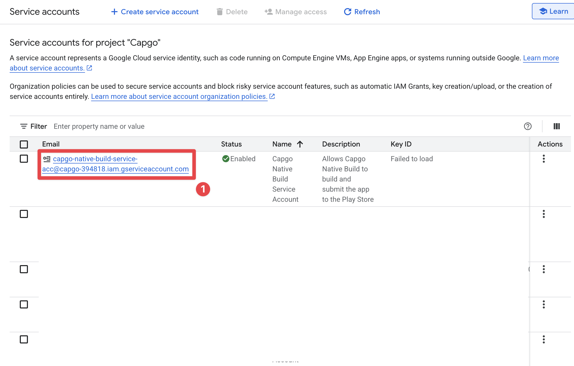 Google Console newly created service account