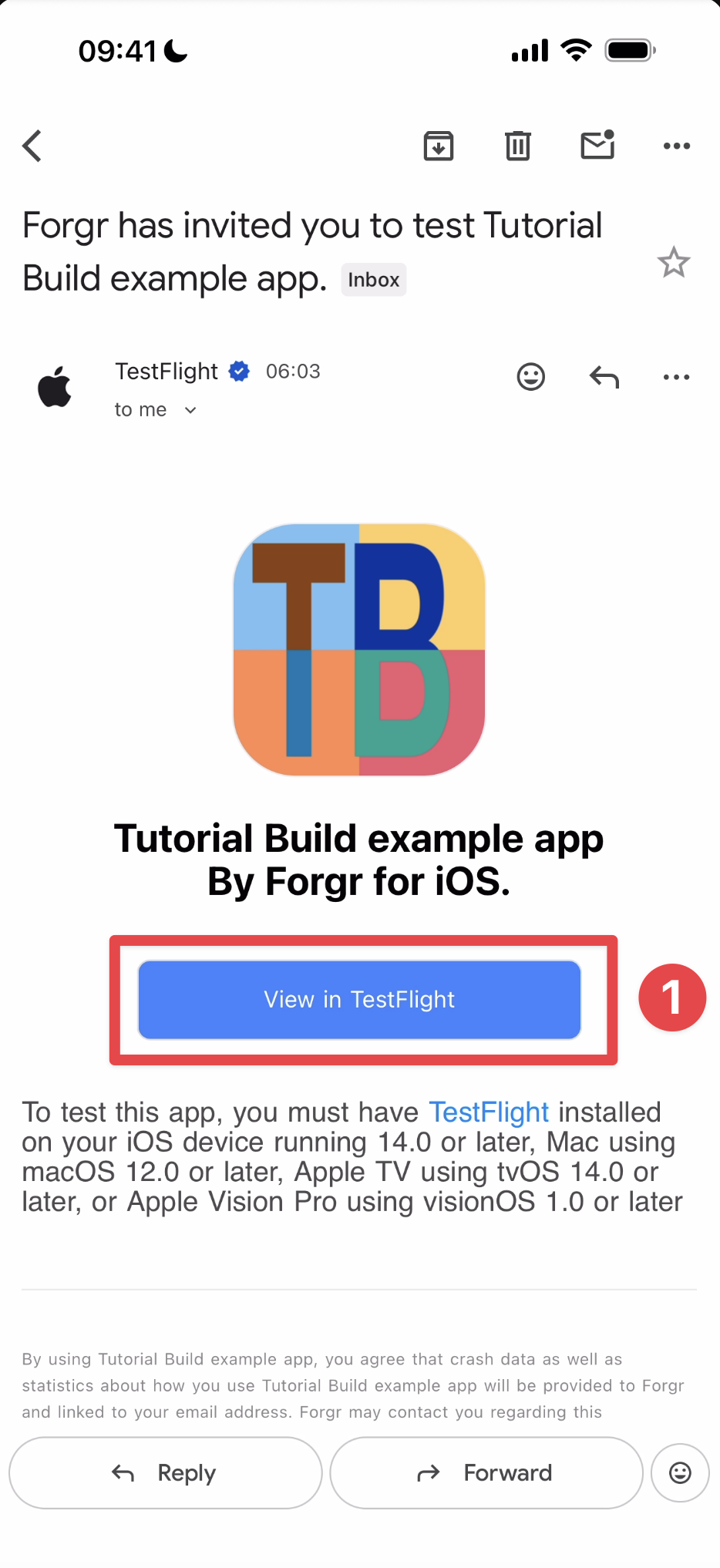 TestFlight email button