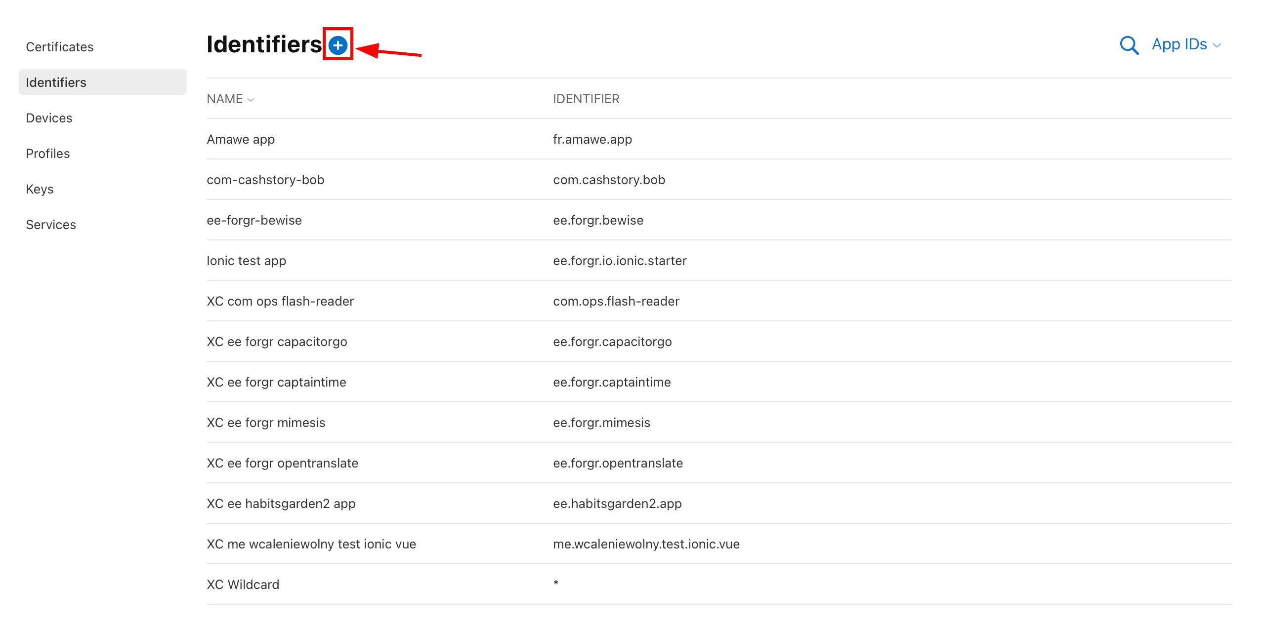 Add new identifier plus button