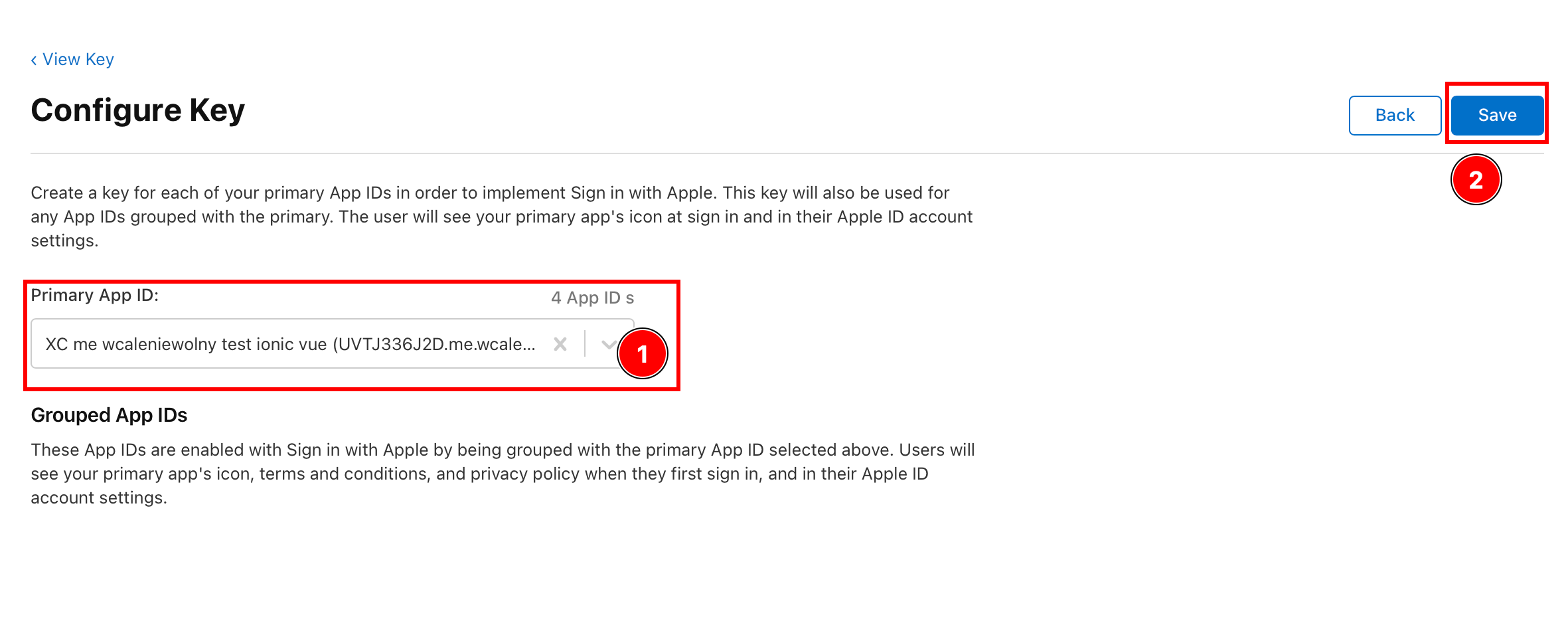 Selecting primary App ID for the key