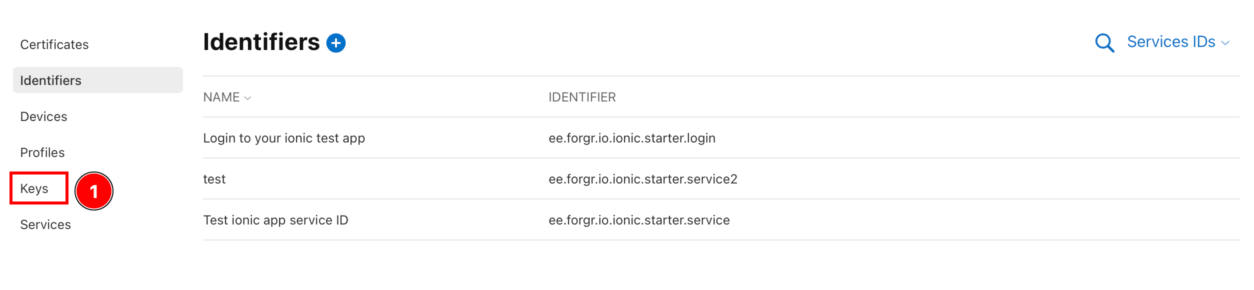 Keys section in Apple Developer Portal
