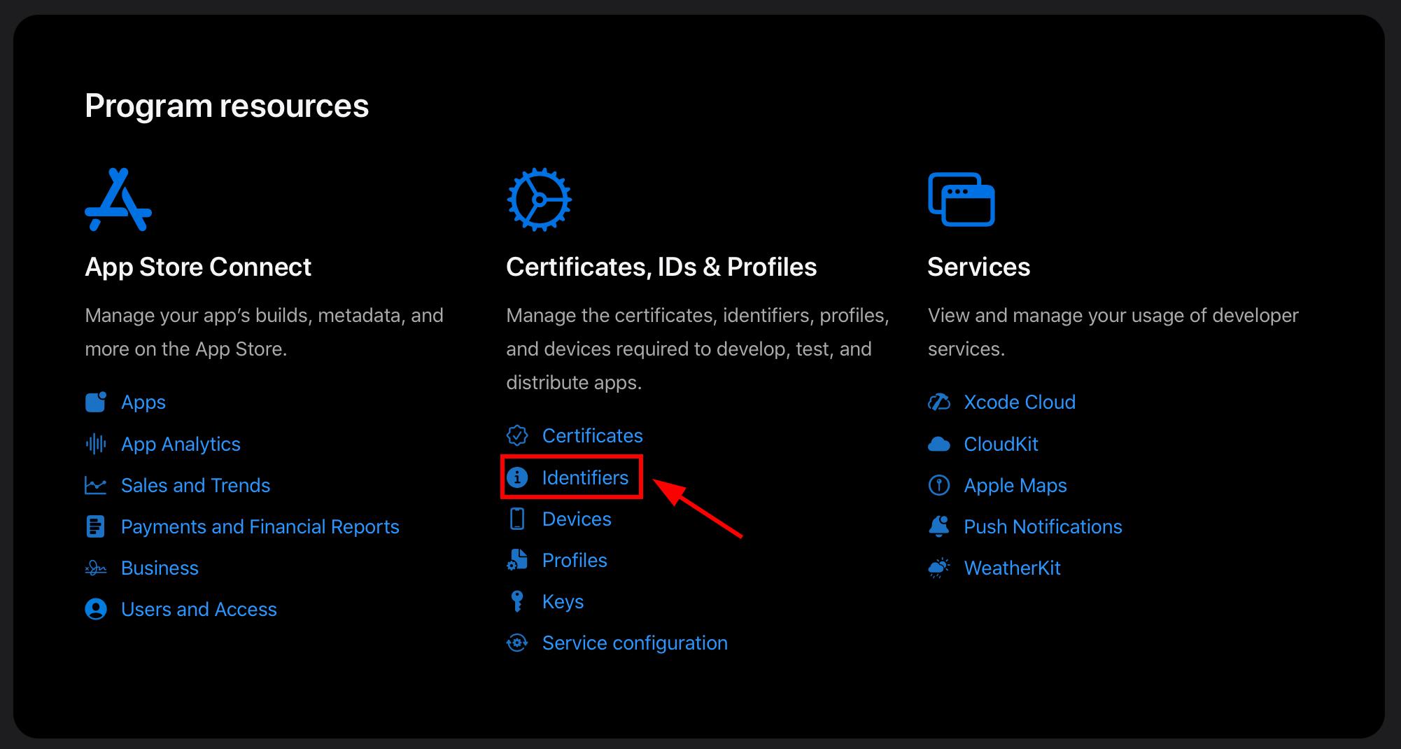 Apple Developer Portal Identifiers section