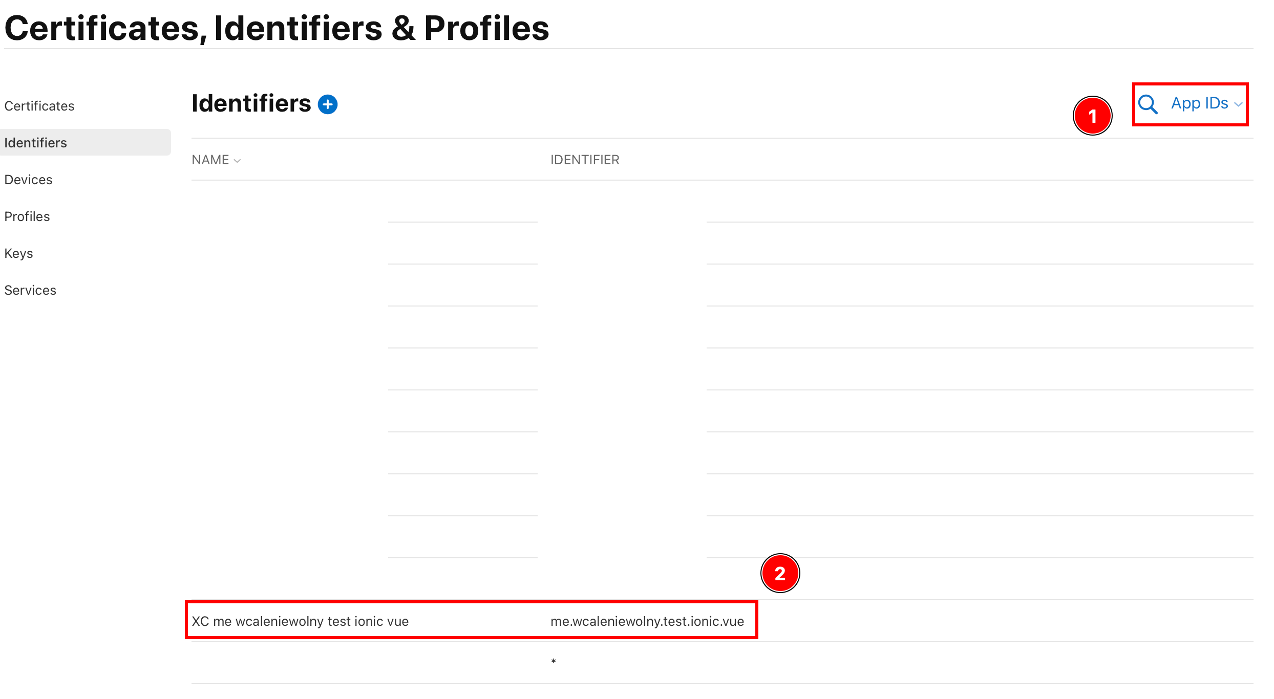 Apple Developer Portal Identifiers screen