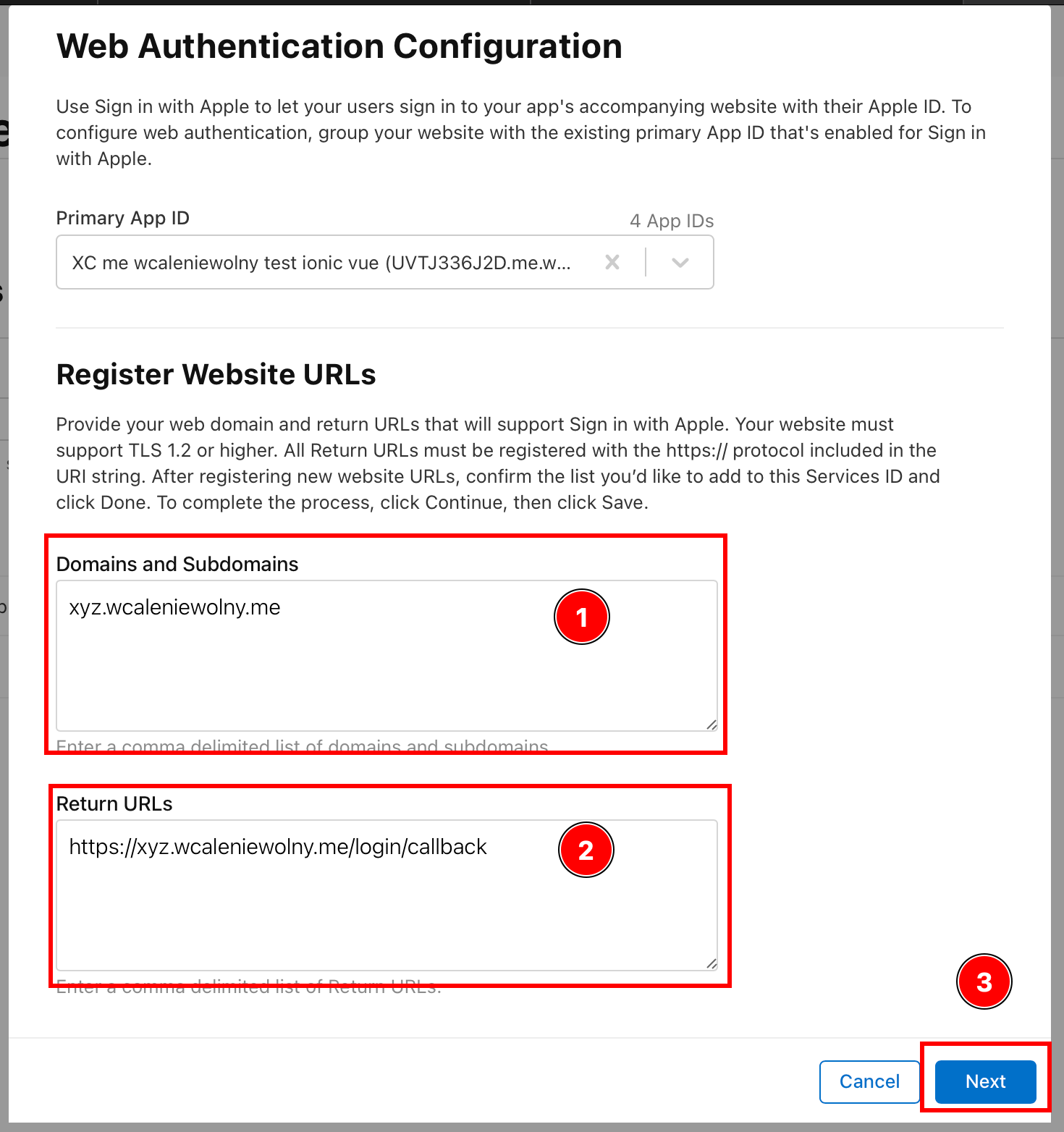 Setting domain and return URL fields