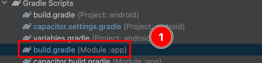 build.gradle (Module: app) file in Gradle Scripts section