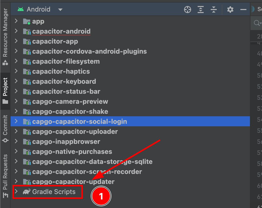 Gradle Scripts section in Android Studio project navigator