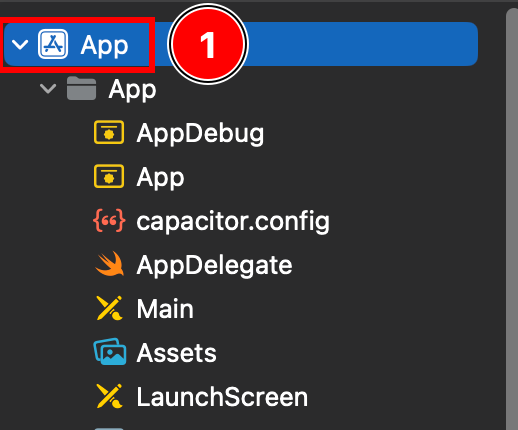 App target in Xcode project navigator