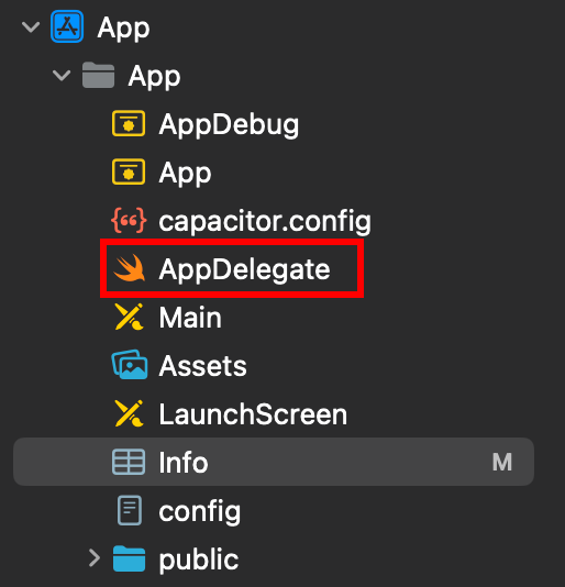 AppDelegate.swift file in Xcode project navigator