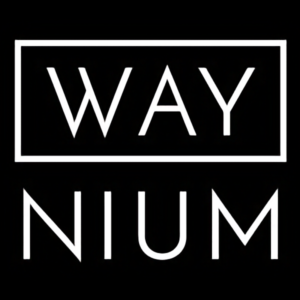 logo waynium